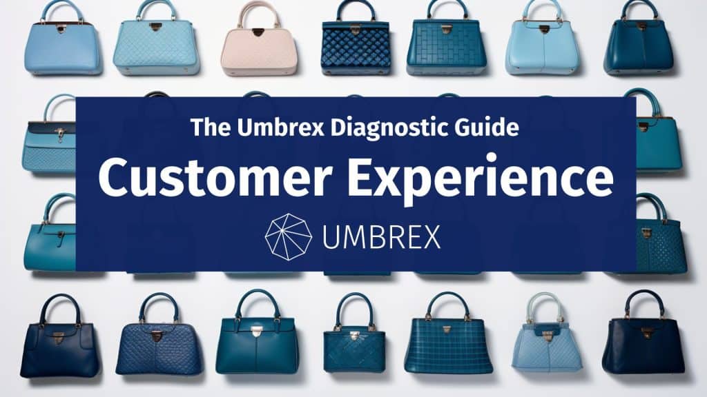 The Umbrex Customer Experience Diagnostic Guide