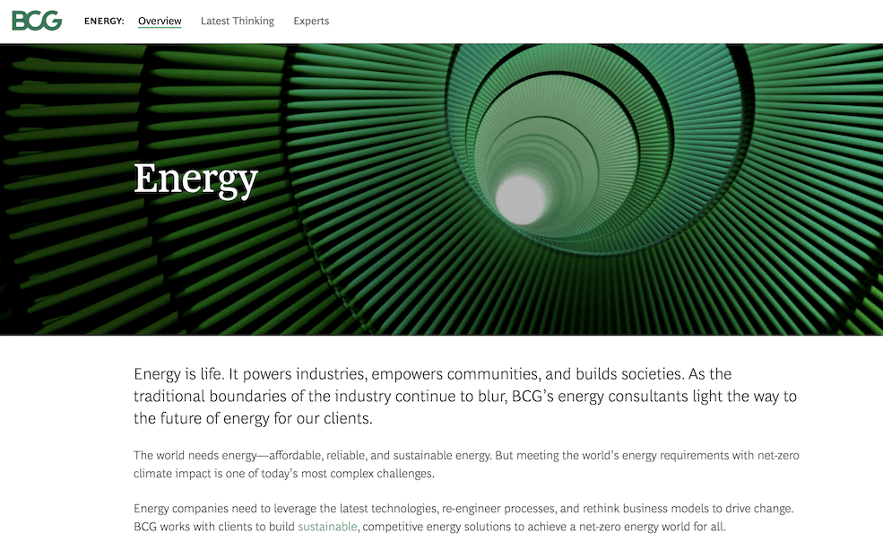 BCG Energy Consulting Practice