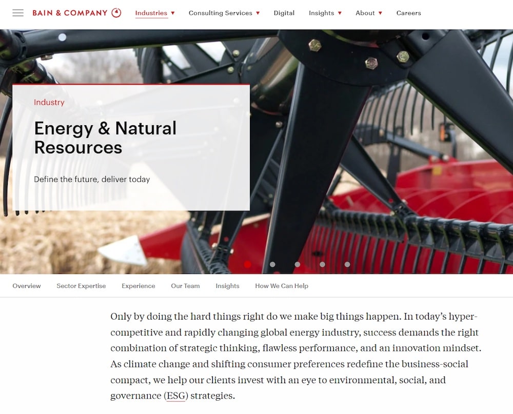 Bain & Company​ webpage