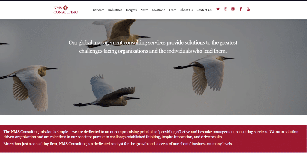 NMS Consulting - Energy Practice_