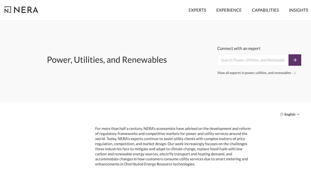 Nera Energy consulting practice
