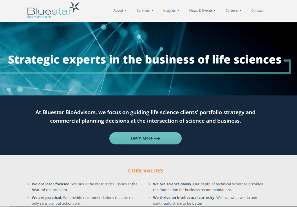 Bluestar BioAdvisors Top Pharmaceutical Specialist Consulting Firms