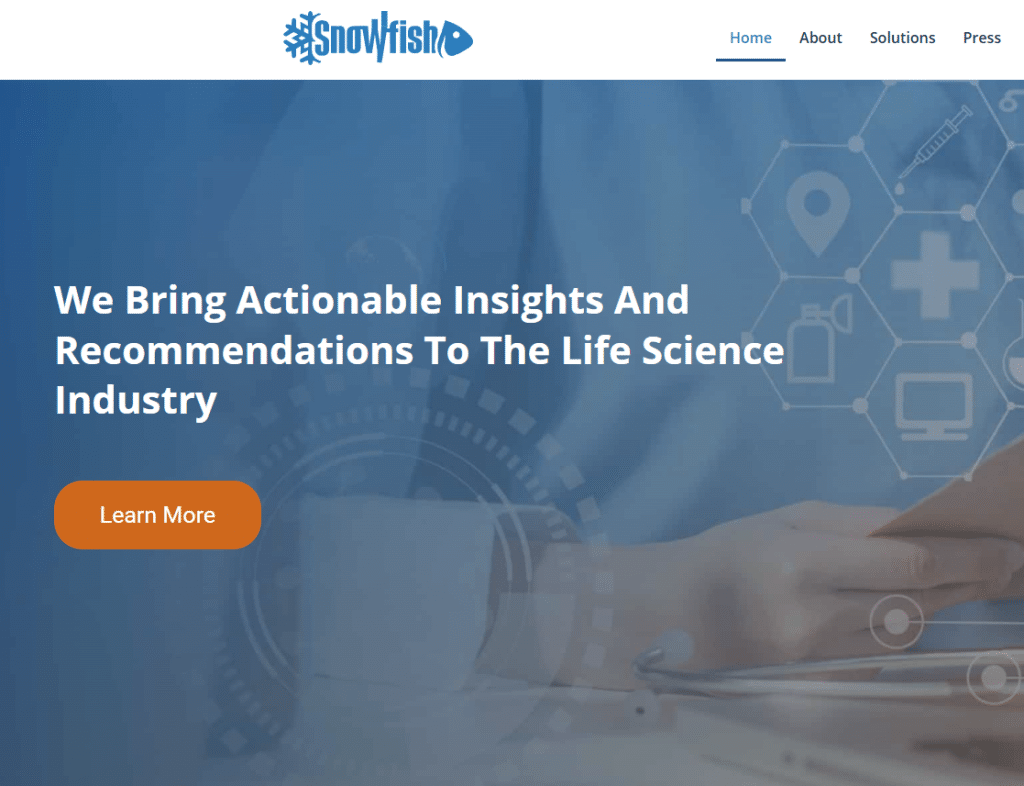 Snowfish Top Pharmaceutical Specialist Consulting Firms