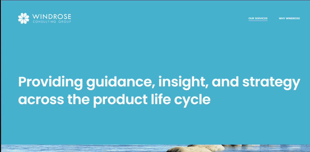 Windrose Consulting Group Top Pharmaceutical Specialist Consulting Firms