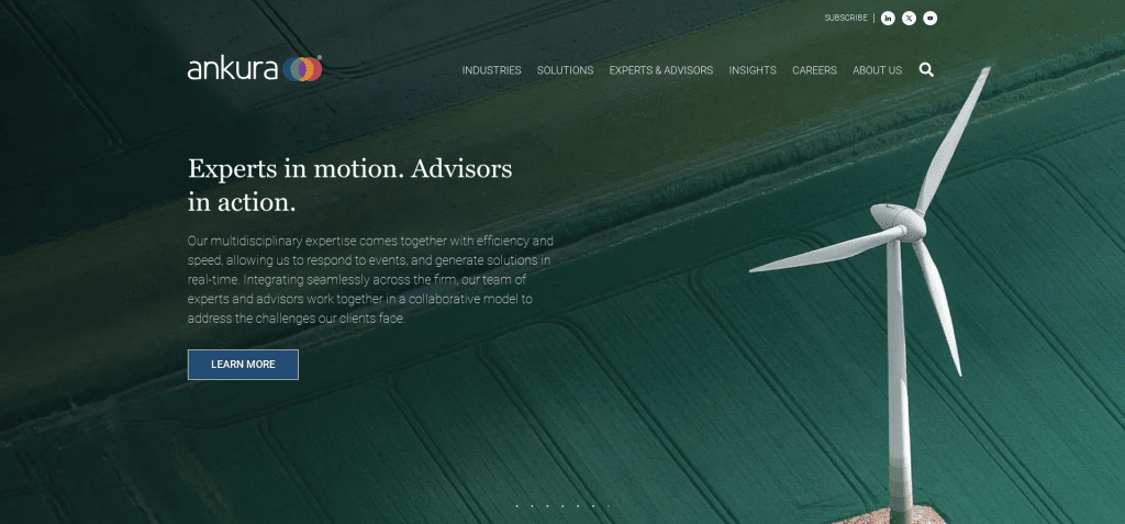 Ankura Consulting Group Overview, Profile, and History