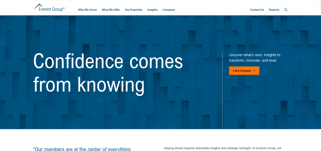 Everest Group Overview, Profile, and History