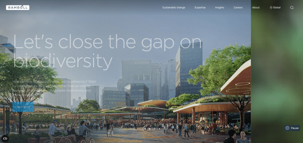 Ramboll Overview, Profile, and History