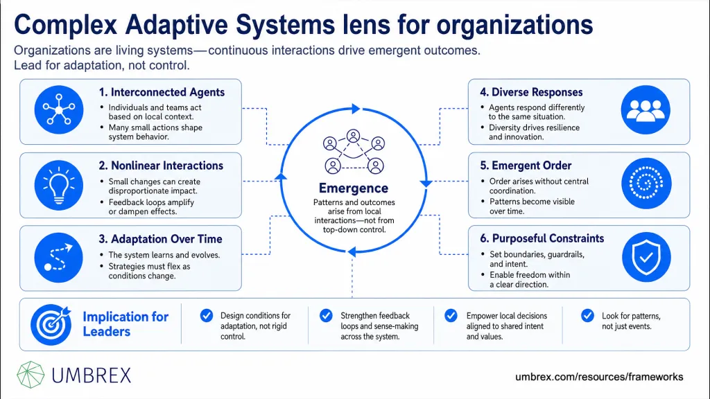 Complex Adaptive Systems lens for organizations - Overview Image