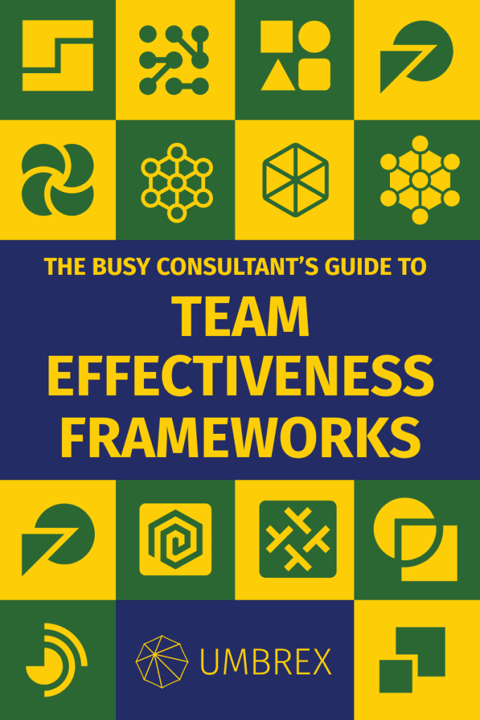 Team Effectiveness Frameworks - 2D Cover