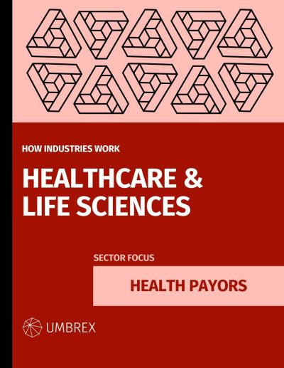 How the Health Payor Industry Works