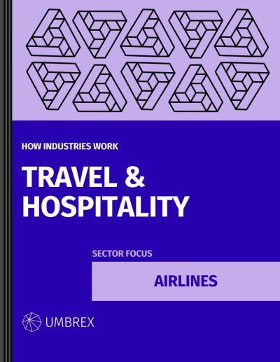 How the Airline Industry Works