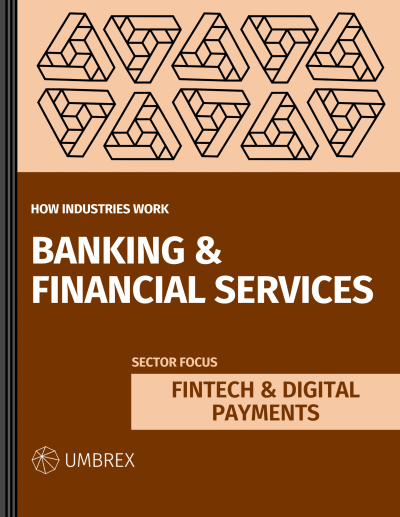 How the FinTech & Digital Payments Industry Works
